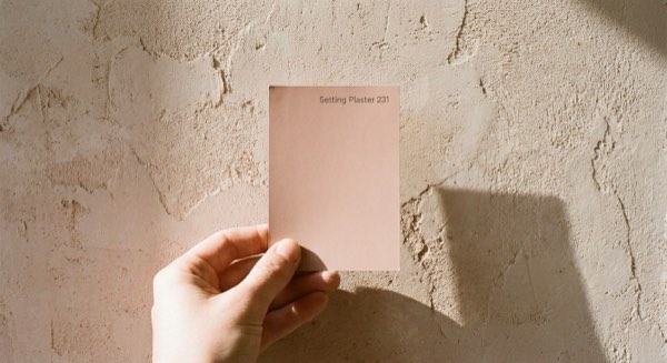 A paint swatch card reading Setting Plaster 231, held against a bare plaster wall